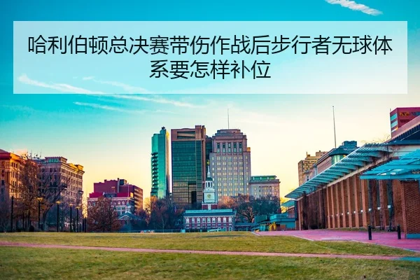 ha-li-bo-dun-zong-jue-sai-dai-shang-zuo-zhan-hou-bu-xing-zhe-wu-qiu-ti-xi-yao-zen-yang-bu-wei-2-246.jpg