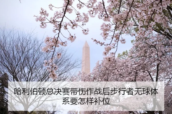 哈利伯顿总决赛带伤作战后步行者无球体系要怎样补位