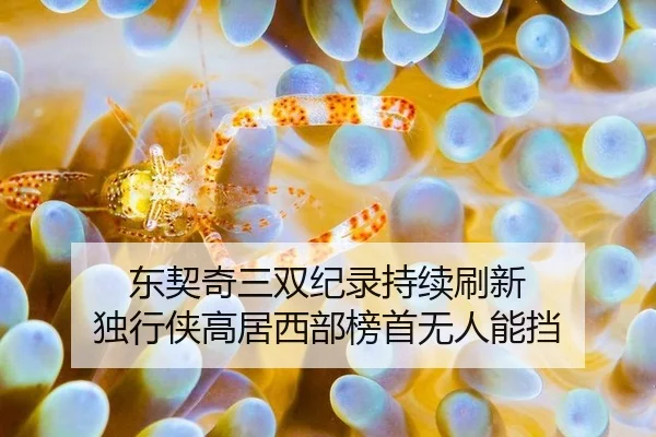 dong-qi-qi-san-shuang-ji-lu-chi-xu-shua-xin-du-xing-xia-gao-ju-xi-bu-bang-shou-wu-ren-neng-dang-3-820.jpg